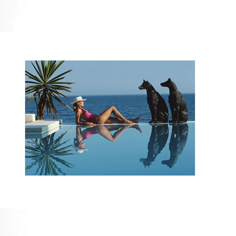 Retro Poolside Host Luxury Lif - Luxury Lifestyle Pictures 评论和价格